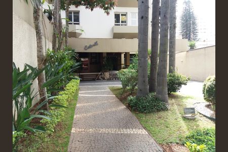 9_photo/94c8cf4e0d.07d1a9e0112fd54e-ATLAS-2d83dbe2-5848-4c78-98c5-98f7fdf64338.jpg de apartamento para alugar com 1 quarto, 50m² em Cambuí, Campinas