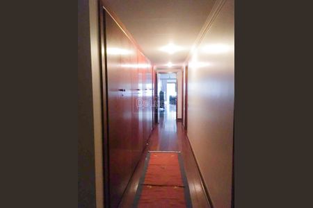 7_photo/94c8cf4e61.704e7a6b587edb4b-ATLAS-32a7df50-c62a-4620-abd2-af453c21b3f7.jpg de apartamento para alugar com 4 quartos, 370m² em Cambuí, Campinas