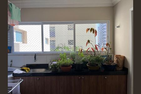 10_photo/94c8cf4ef5.29152d4f95012d72-ATLAS-2b8ac20e-3231-4e9f-bc63-edfb3678905b.jpg de apartamento para alugar com 4 quartos, 178m² em Centro, Campinas