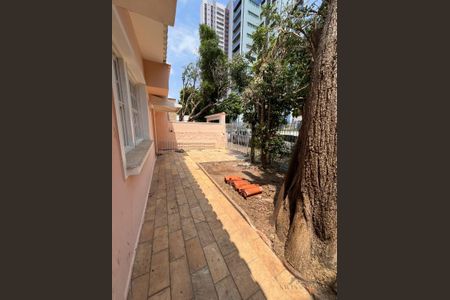 6_photo/94c8cf5061.80b8539caa4e34c3-ATLAS-359dfd38-94bc-44ec-80a7-55ac5a01a32c.jpg de casa para alugar com 4 quartos, 223m² em Cambuí, Campinas