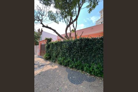 7_photo/94c8cf5061.80b8539caa4e34c3-ATLAS-3dbab281-afda-4f4d-87cb-58b728571240.jpg de casa para alugar com 4 quartos, 223m² em Cambuí, Campinas