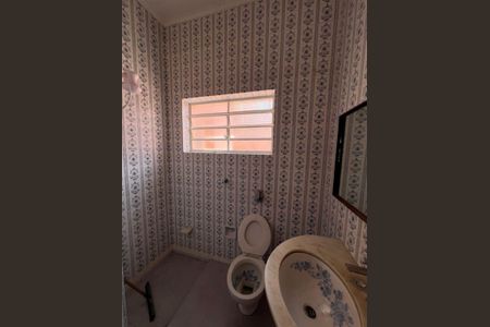 12_photo/94c8cf5061.80b8539caa4e34c3-ATLAS-5e29b0a0-72b6-4dfd-afec-c717078a8cb7.jpg de casa para alugar com 4 quartos, 223m² em Cambuí, Campinas