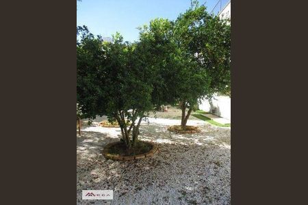 6_photo/94c8cf50df.cdca9dc44b942d50-ATLAS-f6cfd5ba-d591-4892-a9a9-0f90d8e53ed4.jpg de casa para alugar com 5 quartos, 240m² em Cambuí, Campinas