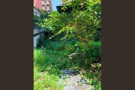 8_photo/94c8cf52b3.8c2ca795ebaebe51-ATLAS-6cf64cbd-cdb6-4651-9716-c6b32cec96f2.jpg de casa à venda com 3 quartos, 160m² em Centro, Campinas