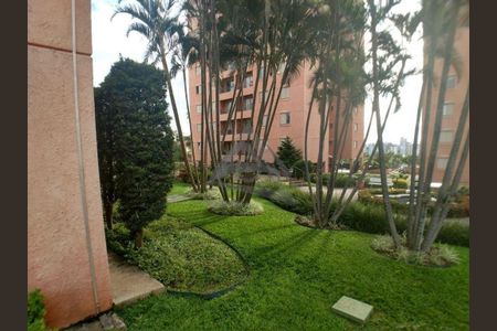 11_photo/94c8cf6775.ac877d7faaa4216d-ATLAS-52422aee-784d-424f-8c9b-0c8052e5f28d.jpg de apartamento para alugar com 3 quartos, 75m² em Chácara da Barra, Campinas