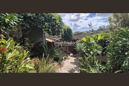 7_photo/94c8cf6a41.e6e1c947b02cf8fb-ATLAS-0f35c675-4fe5-4896-932b-eee0d0e08fb6.jpg de casa para alugar com 5 quartos, 621m² em Jardim Sao Carlos, Campinas