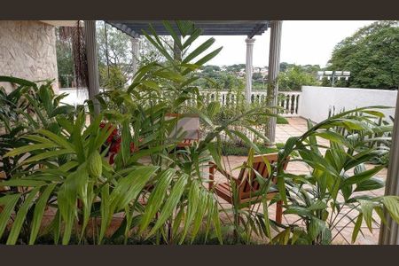 5_photo/94c8cf6c93.aa320bc0d5d15275-ATLAS-3fd11b88-029a-4e16-a50e-0f4c8acead2d.jpg de casa à venda com 3 quartos, 319m² em Jardim das Paineiras, Campinas