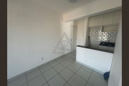 2_photo/94c8cf7ccf.3714cccd63f8fe2d-ATLAS-0e4f4726-bd18-478e-a7f1-e763232116b8.jpg de apartamento para alugar com 2 quartos, 53m² em Parque Brasília, Campinas