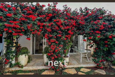 37_photo/94c8cfa2f5.040929e4059d90de-ATLAS-e0342209-3574-4e04-8150-c77b91a80dff.jpg de casa à venda com 4 quartos, 317m² em Bairro das Palmeiras, Campinas