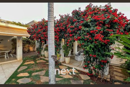 8_photo/94c8cfa2f5.040929e4059d90de-ATLAS-e78d65d0-c2e7-4f96-a23c-e9d46a08a852.jpg de casa à venda com 4 quartos, 317m² em Bairro das Palmeiras, Campinas