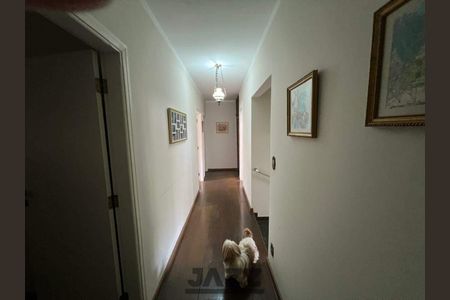 6_photo/94c8cfa585.ceff8192393c33de-ATLAS-58c09768-d3bd-4d7c-87e1-bdfa35adb3a1.jpg de casa à venda com 4 quartos, 403m² em Bairro das Palmeiras, Campinas