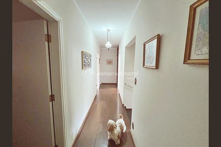 7_photo/94c8cfa6d7.38153d79977beed0-ATLAS-93a557cf-b5ab-4dc5-b26c-d498bbd5fae2.jpg de casa à venda com 4 quartos, 404m² em Bairro das Palmeiras, Campinas