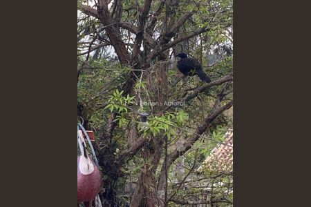 2_photo/94c8d00d13.3714cccd63f8fe2d-ATLAS-0f2d1ed8-42c9-4803-b437-2de779a1947b.jpg de casa para alugar com 4 quartos, 250m² em Parque Jatibaia (Sousas), Campinas