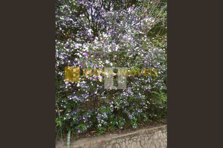 1_photo/94c8d0149b.3661479a1a3a7969-ATLAS-0b6659ee-d87b-4f3e-9165-252354b2f19d.jpg de casa à venda com 4 quartos, 639m² em Nova Sousas (Sousas), Campinas