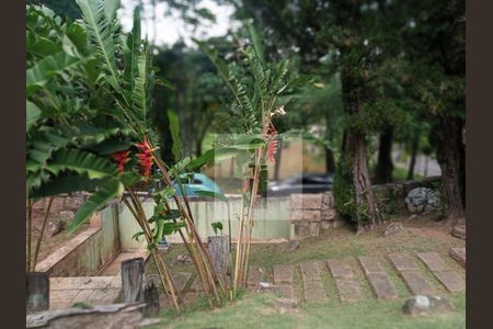 6_photo/94c8d0367d.6721d330cc8d7611-ATLAS-2993cbbd-e0bc-4157-95e6-94e002d1ea02.jpg de casa à venda com 6 quartos, 886m² em Jardim Botânico (Sousas), Campinas