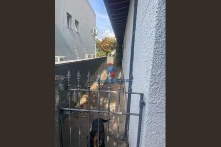 3_photo/94c8d03d61.70986b2d83168018-ATLAS-5c4a81db-286d-4c7c-8bb4-99c816b01990.jpg de casa para alugar com 3 quartos, 157m² em Vila Sônia (Sousas), Campinas