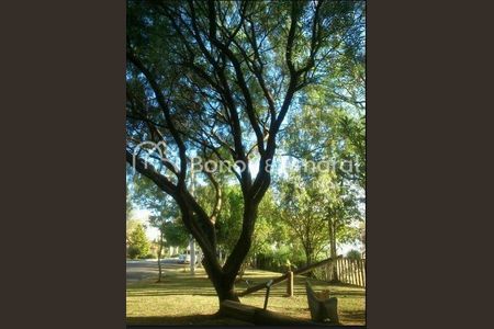 2_photo/94c8daaceb.3aed5bbd04158097-ATLAS-0c702e4c-a323-4ff2-85b0-74e132d54706.jpg de casa de condomínio à venda com 5 quartos, 550m² em Loteamento Caminhos de San Conrado (Sousas), Campinas