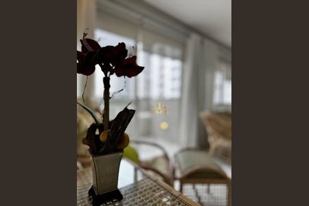 4_photo/94ce018add.63f5326e25f0ee92-ATLAS-cf569897-3c76-4c2d-adcd-65d60cd738ed.jpg de apartamento à venda com 4 quartos, 113m² em Sítio Conceiçãozinha (Vicente de Carvalho), Guarujá