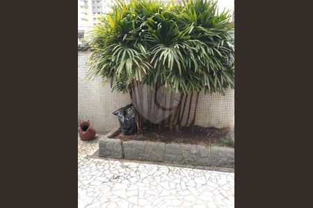 4_photo/94ce030bd3.9612c2c0390caf5f-ATLAS-8ef930b3-a2c7-44f6-a9cc-a31d0e4ef0be.jpg de casa à venda com 3 quartos, 186m² em Boqueirão, Santos