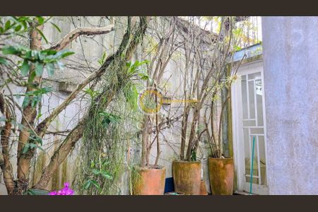 57_photo/94ce030f57.ceff8192393c33de-ATLAS-97cf8c55-e029-4e64-ac35-670df1ca2e32.jpg de casa à venda com 3 quartos, 300m² em Gonzaga, Santos