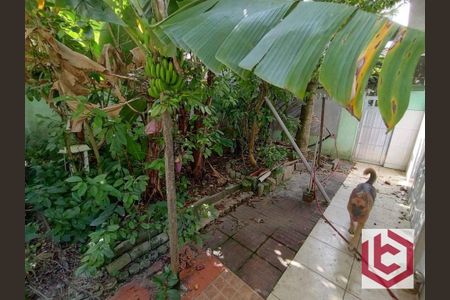 3_photo/94ce0311f5.a095ebe9a9b9d05b-ATLAS-3000fa78-da04-406d-83cc-208e076be0c1.jpg de casa à venda com 4 quartos, 280m² em Gonzaga, Santos