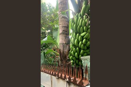 15_photo/94ce0311f5.a095ebe9a9b9d05b-ATLAS-df18fee3-a0db-48f5-ab06-a7bf422c93fe.jpg de casa à venda com 4 quartos, 289m² em Gonzaga, Santos