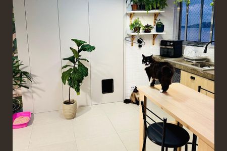 1_photo/94ce0330af.c3d09b04efc3ec5d-ATLAS-022b6eda-de0f-465d-b56a-fbfccc0ca169.jpg de apartamento à venda com 1 quarto, 45m² em José Menino, Santos