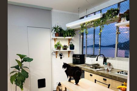 3_photo/94ce0330af.c3d09b04efc3ec5d-ATLAS-04fa3e49-1e75-4839-96e6-4db1667d439d.jpg de apartamento à venda com 1 quarto, 45m² em José Menino, Santos