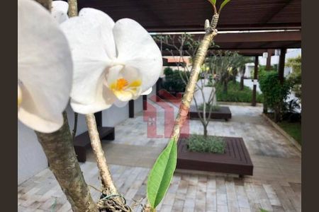 12_photo/94ce0338ef.cd3d5044a89c8e4d-ATLAS-3afc4f69-1812-455d-b6dc-89a2cae4039e.jpg de apartamento à venda com 2 quartos, 79m² em Marapé, Santos