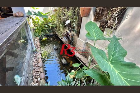 9_photo/94ce033ee1.e6e1c947b02cf8fb-ATLAS-a67cd411-7728-4f5b-ad4f-69a8bd443a65.jpg de casa à venda com 7 quartos, 498m² em José Menino, Santos