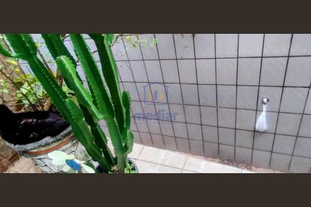 5_photo/94ce039e87.e6f02a1e96aef2b1-ATLAS-403cbd76-30ee-4e26-8d13-13adc4db8290.jpg de casa à venda com 3 quartos, 142m² em Vila Matias, Santos