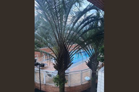 12_photo/94ce03af8b.3dea3cab82053bf3-ATLAS-a99fee22-b1a7-45aa-92e5-746ca18606e9.jpg de apartamento para alugar com 2 quartos, 95m² em Macuco, Santos