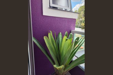 2_photo/94ce152a8b.07fb07773285f6be-ATLAS-09c7ebc0-71ca-4e95-8959-a2f5cc5ad032.jpg de casa à venda com 3 quartos, 110m² em Jardim Clube de Campo, Santo André