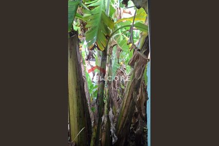 21_photo/94ce1b4f3b.98cf39ec7952f033-ATLAS-97721c98-f68e-42ef-8a59-c7d0c6840232.jpg de casa à venda com 3 quartos, 116m² em Santa Maria, Santos