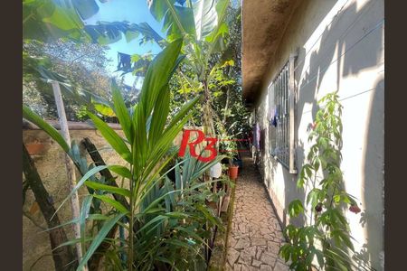 5_photo/94ce1b562f.b7afec13c8c84584-ATLAS-a3609a8a-a125-4c41-9746-7b84ef0711d8.jpg de casa à venda com 3 quartos, 270m² em Vila Sao Jorge, Santos