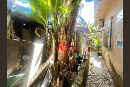 37_photo/94ce1b562f.b7afec13c8c84584-ATLAS-daeb70c4-07db-4f31-9e55-2b8f32a988a8.jpg de casa à venda com 3 quartos, 270m² em Vila Sao Jorge, Santos