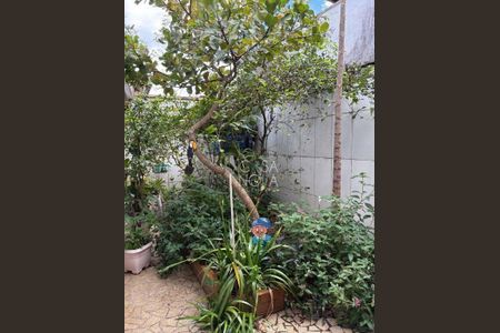 34_photo/94ce1b56bf.1aa5b8f538f3adaf-ATLAS-04c8bd4d-cb98-47fd-a77e-b79208a1bcb6.jpg de casa à venda com 3 quartos, 158m² em Vila Sao Jorge, Santos