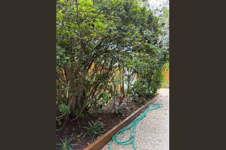 46_photo/94ce1b56bf.1aa5b8f538f3adaf-ATLAS-1c6c4595-5aad-4e0d-8254-4b3b7aaf62c0.jpg de casa à venda com 3 quartos, 158m² em Vila Sao Jorge, Santos