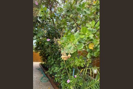 45_photo/94ce1b56bf.1aa5b8f538f3adaf-ATLAS-3b94dac3-c985-42e1-b7f8-d74bf8285337.jpg de casa à venda com 3 quartos, 158m² em Vila Sao Jorge, Santos