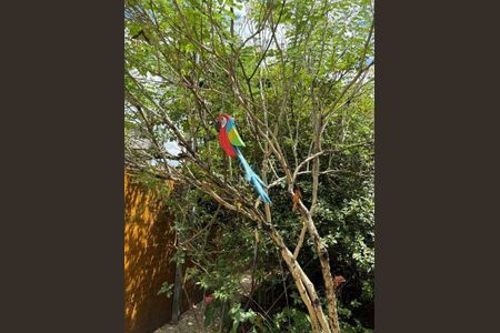 44_photo/94ce1b56bf.1aa5b8f538f3adaf-ATLAS-bfe25198-39ef-4e68-9d49-c71a215f0aff.jpg de casa à venda com 3 quartos, 158m² em Vila Sao Jorge, Santos