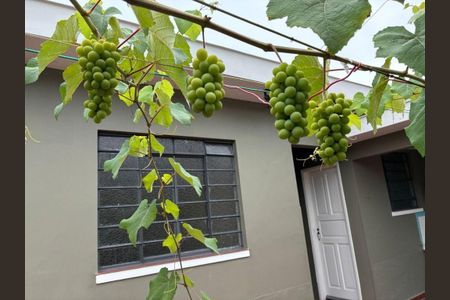 27_photo/94ce1b56f3.38153d79977beed0-ATLAS-60c8cd7b-13c6-4133-beb5-9c1cae4e743c.jpg de casa à venda com 2 quartos, 230m² em Vila Sao Jorge, Santos