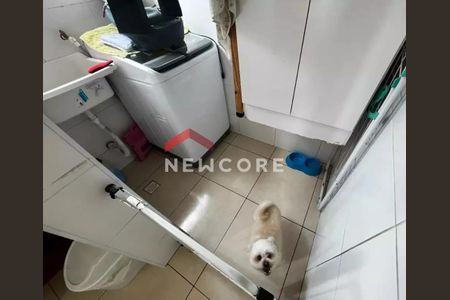 10_photo/94ce1ca8d3.ae6c0d4ae2e822c2-ATLAS-e03ac99e-b366-4626-a855-8d09cc0cf341.jpg de apartamento à venda com 1 quarto, 32m² em Vila Sao Jorge, São Vicente