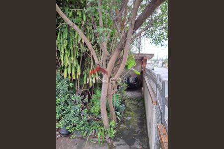 33_photo/94ce1ca995.c57949a0b385ded8-ATLAS-6b29d48e-3e19-4204-a19c-e9eb940b99c1.jpg de casa à venda com 2 quartos, 190m² em Vila Sao Jorge, Santos