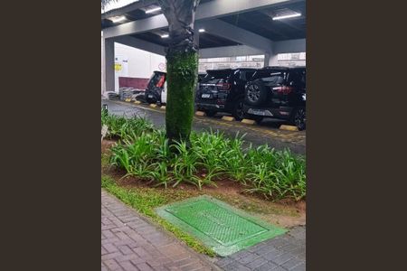 3_photo/94ce1caf1b.8cbbc6e43ead3576-ATLAS-24c5ee7e-8ca5-4e83-8d0c-c215ab37c415.jpg de apartamento à venda com 2 quartos, 49m² em Vila Sao Jorge, São Vicente