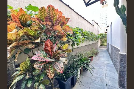 8_photo/94ce1d09cf.5f442c436abea341-ATLAS-26aff72f-6d1e-4e35-94f5-20c73c23fc60.jpg de casa à venda com 3 quartos, 266m² em Canto do Forte, Praia Grande