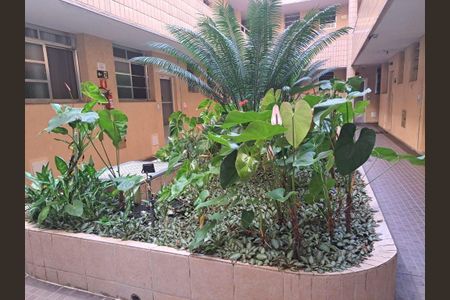 10_photo/94ce1dcbb3.8c50d63e4d766ae8-ATLAS-4884bf42-5c3d-4dbc-b0cb-aea2b568922f.jpg de apartamento para alugar com 1 quarto, 41m² em Guilhermina, Praia Grande