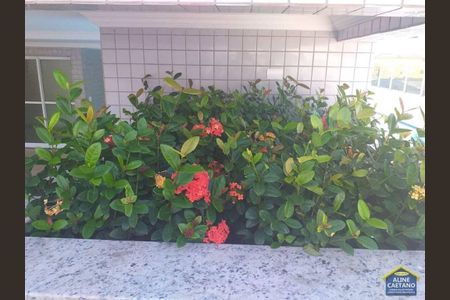 6_photo/94ce1e5fdb.8b238b2f56f58e8d-ATLAS-ae61aa98-c610-4303-92b9-1a0eeb968122.jpg de apartamento à venda com 2 quartos, 100m² em Vila Tupi, Praia Grande