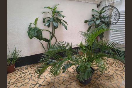 29_photo/94ce1e6243.e5c079c65973cef4-ATLAS-be6a3bb2-e496-4d88-ae89-4f8e9d830d1b.jpg de kitnet/studio para alugar com 0 quarto, 30m² em Aviação, Praia Grande