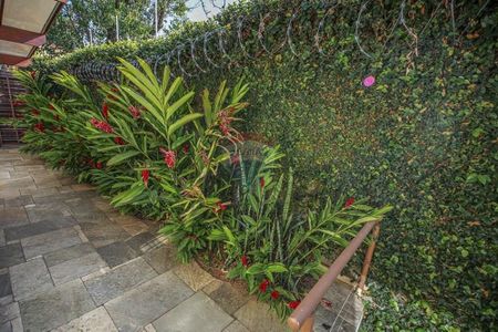 12_photo/94ce1e8873.99861d19f0cf5f32-ATLAS-5bbbf371-e628-4034-84d2-0af8a0fa19f0.jpg de casa para alugar com 6 quartos, 100m² em Aviação, Praia Grande