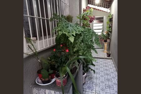 6_photo/94ce1e8ab3.c2471c0fe1dffe3f-ATLAS-d9f0dc90-ad5b-4e4d-afbf-3316b839e0f5.jpg de casa à venda com 2 quartos, 80m² em Vila Tupi, Praia Grande